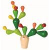 cactus-equilibrista-construccion-plantoys1