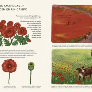 Con calma: 50 historias de la naturaleza
