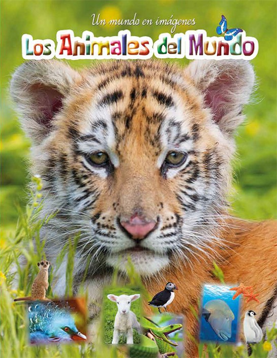 Patapum | Los Animales Del Mundo Libros Lu1