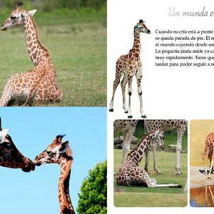 Los animales del mundo