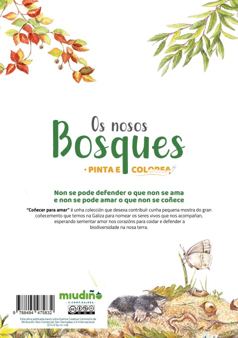 Patapum | Os Nosos Bosques Pinta E Colorea Libros Miudino S. Coop. Galega4