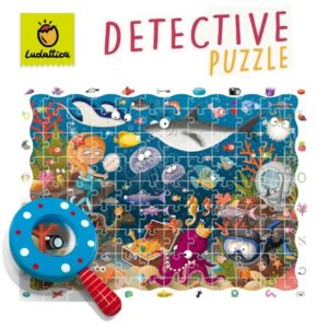 Puzzle detective Ludattica