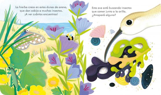 Patapum | A Orillas Del Mar Libros Usborne2