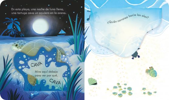 Patapum | A Orillas Del Mar Libros Usborne3