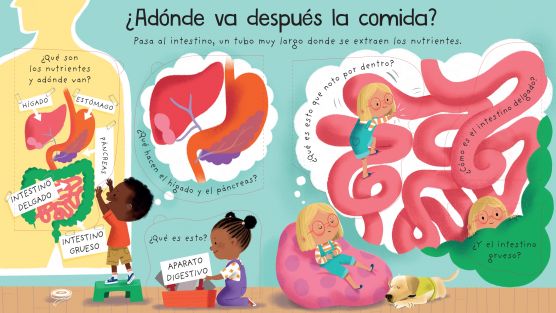 Patapum | Que Hace El Cuerpo Con Lo Que Como Libros Usborne3
