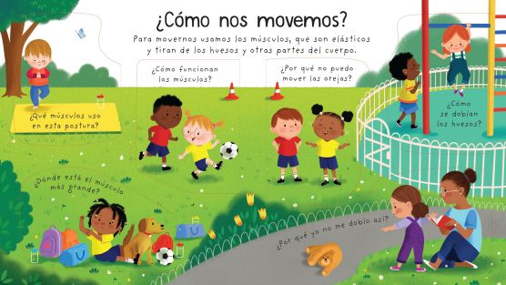 Patapum | Como Funciona El Cuerpo Libros Usborne4