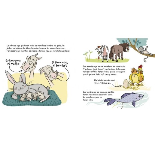 Patapum | Se Llama Vulva Libros Penguin Kids5