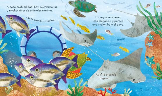 Patapum | El Fondo Del Oceano Libros Usborne2