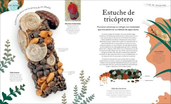 Patapum | Tesoros De La Naturaleza Libros Dk7
