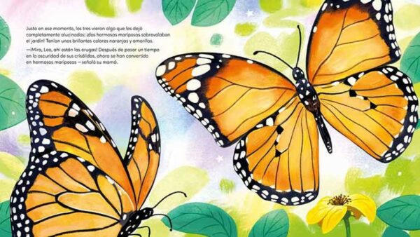 Patapum | Mariposas Cuando Las Familias Cambian Libros Carambuco4