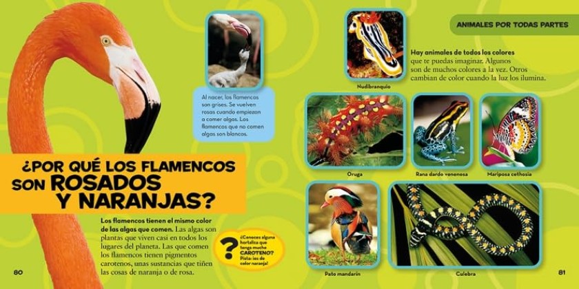 Patapum | Mi Primer Gran Libro De Los Por Que Libros Ngk5