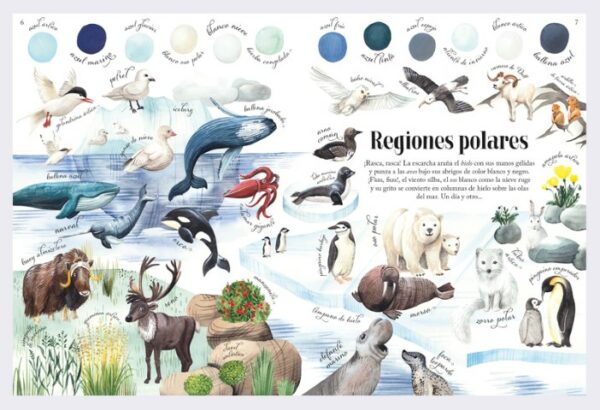 Patapum | Los Colores De Los Habitats Libros Albatros Media2