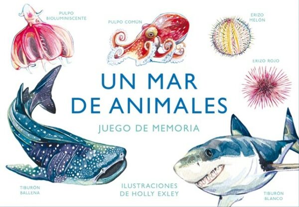 Patapum | Un Mar De Animales Lenguaje Y Escritura Mtm1