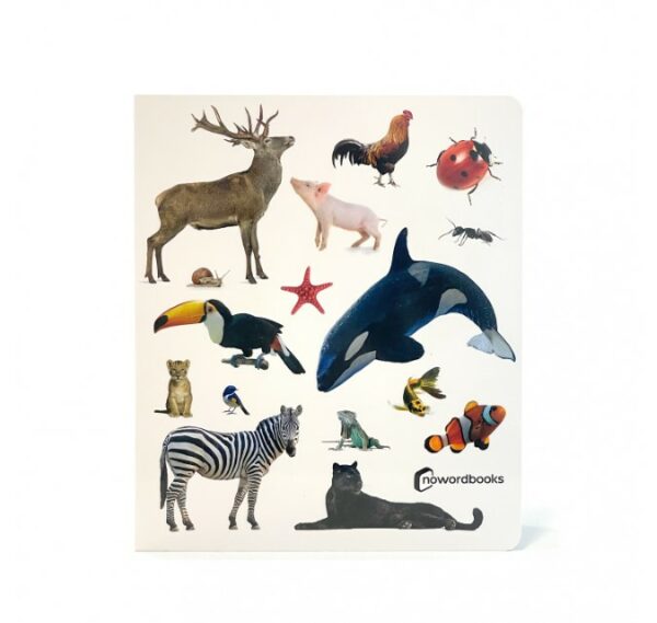 Patapum | Animales Libros Nowordbooks1