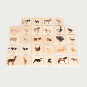 Empareja familias de animales TickiT®