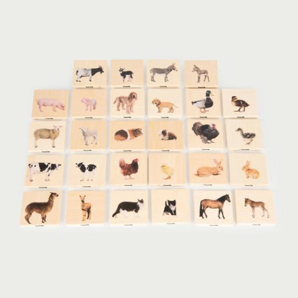Patapum | Empareja Familias De Animales Juegos De Mesa Tickit1