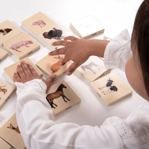 Patapum | Empareja Familias De Animales Juegos De Mesa Tickit3