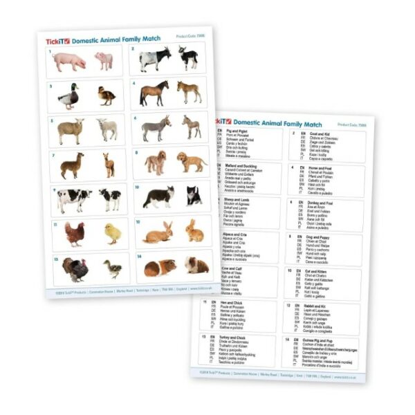 Patapum | Empareja Familias De Animales Juegos De Mesa Tickit4