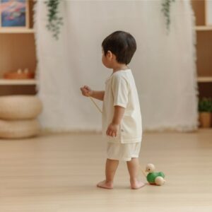 Pato de arrastre Plantoys