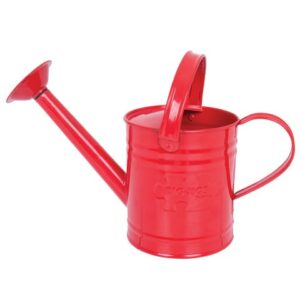 Regadera Bigjigs