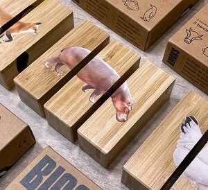 Blocks Nowordbooks