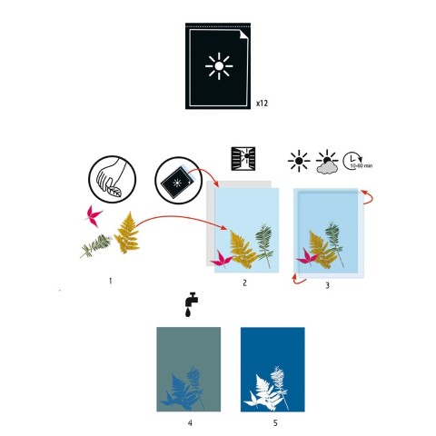 Patapum | Cianotipia Manualidades Djeco3