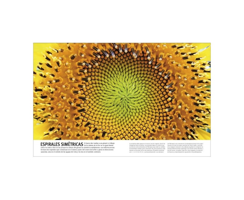 Patapum | El Libro De Las Flores Y Los Arboles Libros Dk5