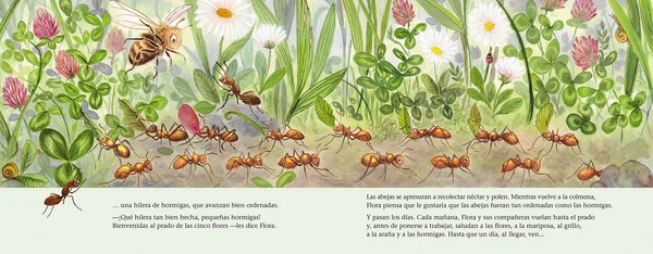 Patapum | La Abeja Flora Y El Prado De Las Cinco Flores Libros Ing Editions2