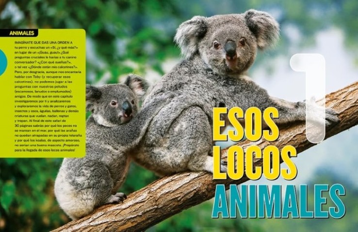 Patapum | Por Que No Libros Ngk2