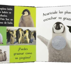 Sonidos de animales bebés