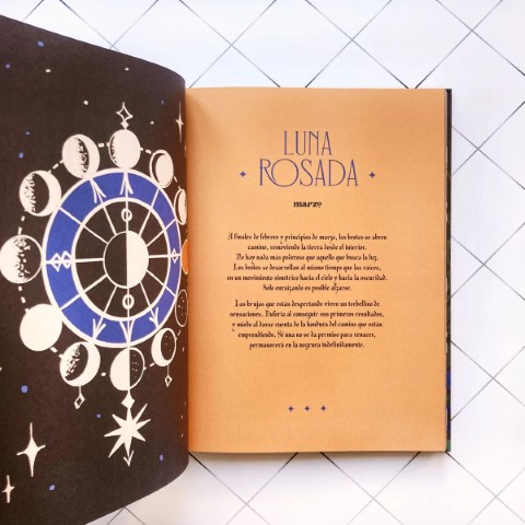 Patapum | La Vida Secreta De Las Brujas Libros Lunwerg3