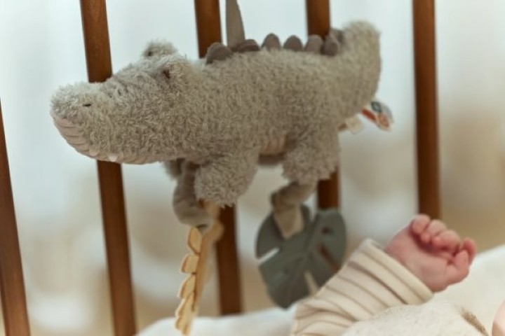 Patapum | Cocodrilo De Actividades Primeros Juguetes Little Dutch3